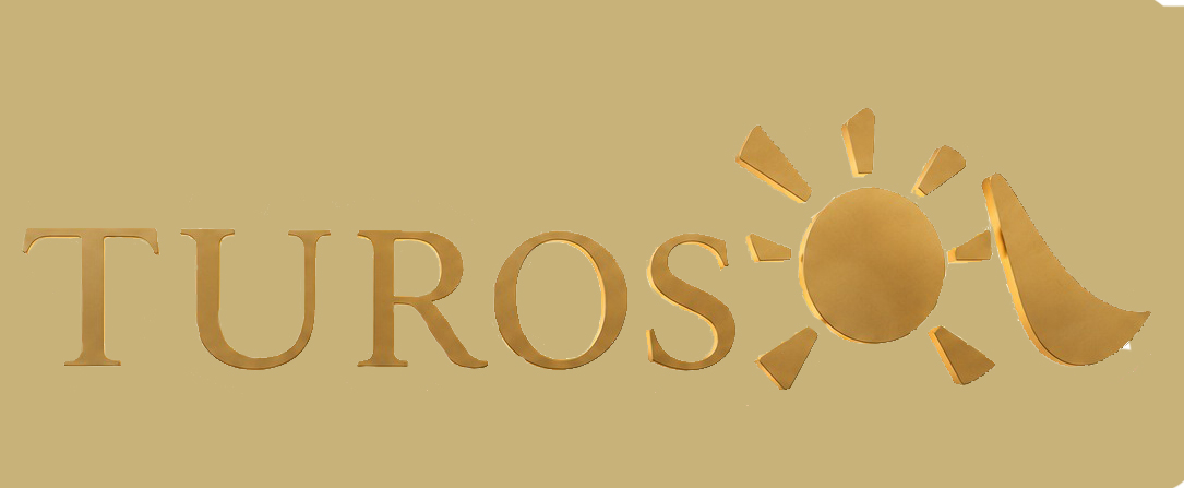 logo limpio